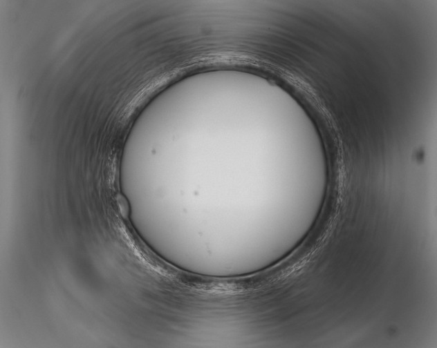 X0000116160841200912141219
