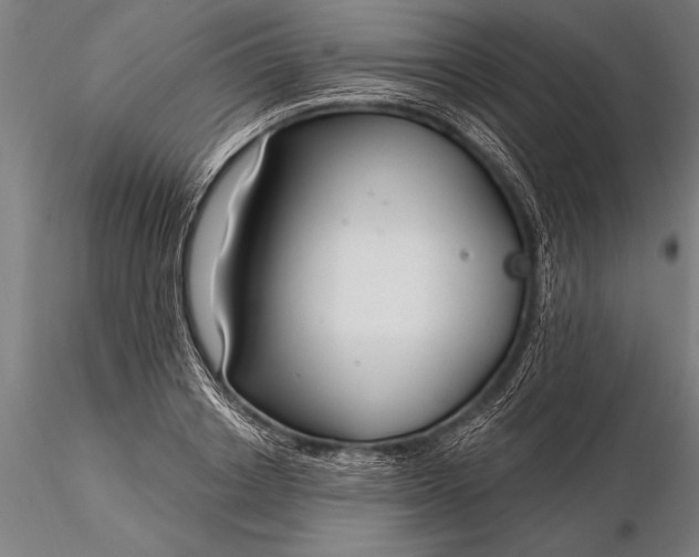 X0000116160842200912141219