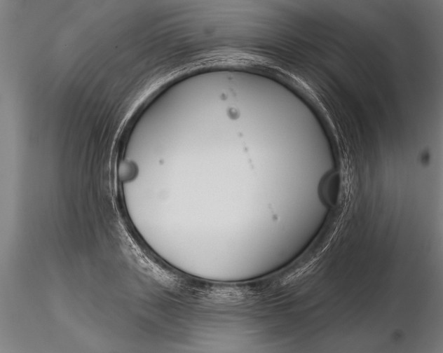 X0000116160843200912141219