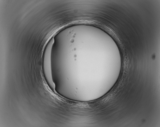 X0000116160844200912141219