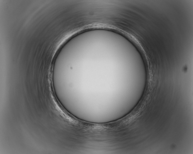 X0000116160847200912141219