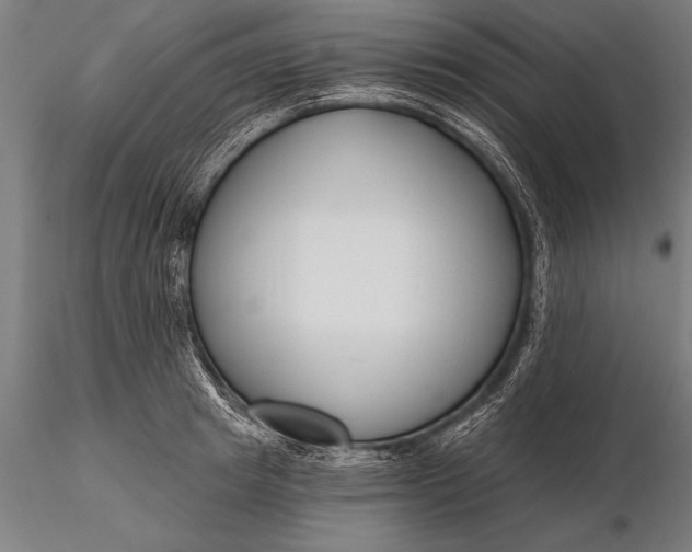 X0000116160849200912141219