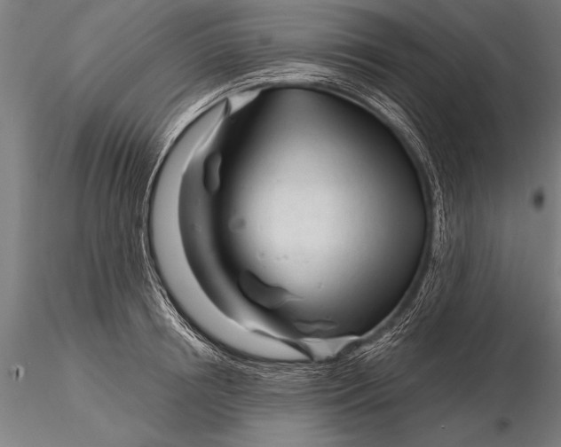 X0000116160850200912141219