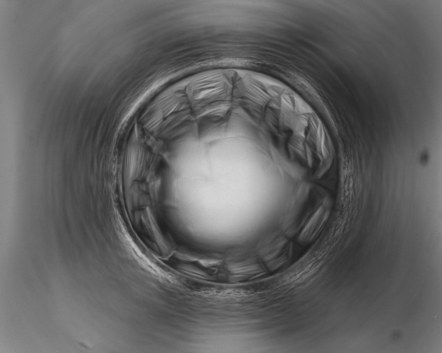 X0000116160851200912141219