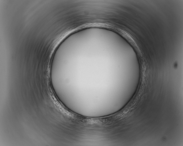 X0000116160852200912141219