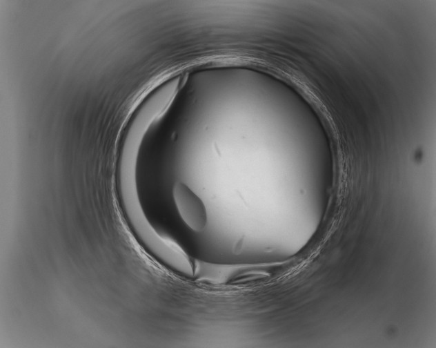 X0000116160853200912141219