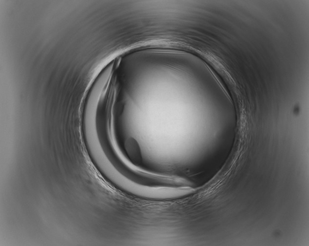 X0000116160854200912141219