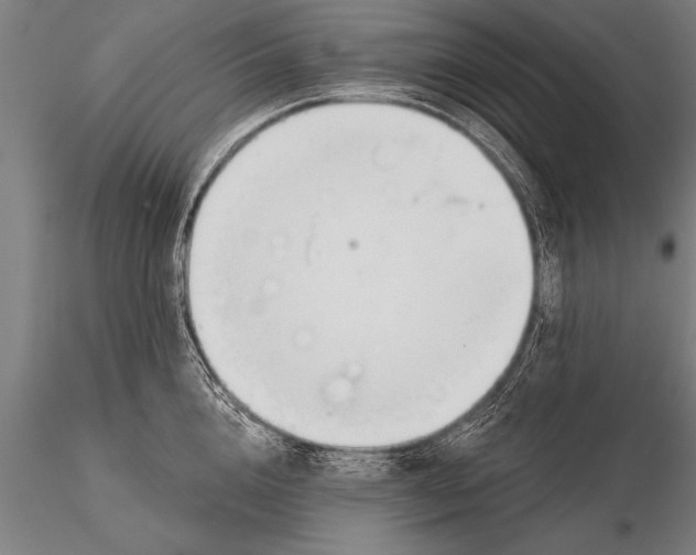 X0000116160856200912141219