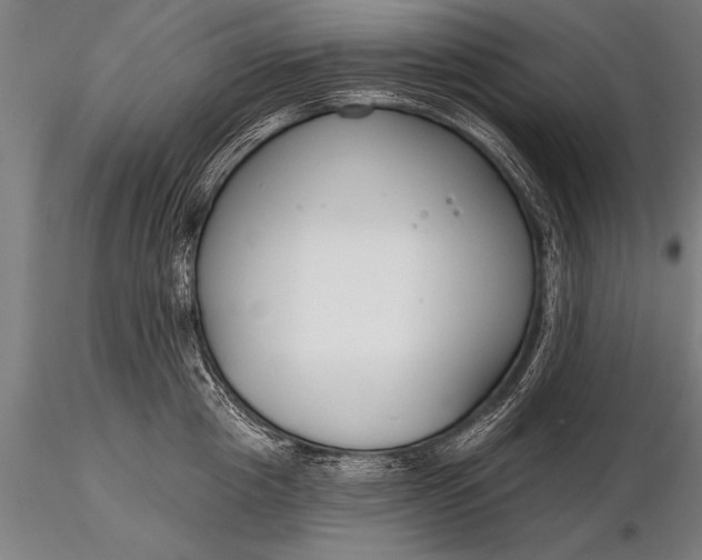 X0000116160857200912141219