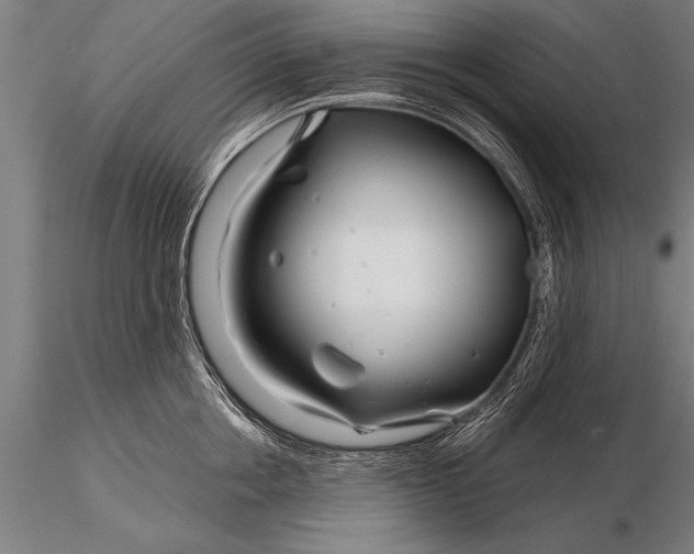 X0000116160858200912141219