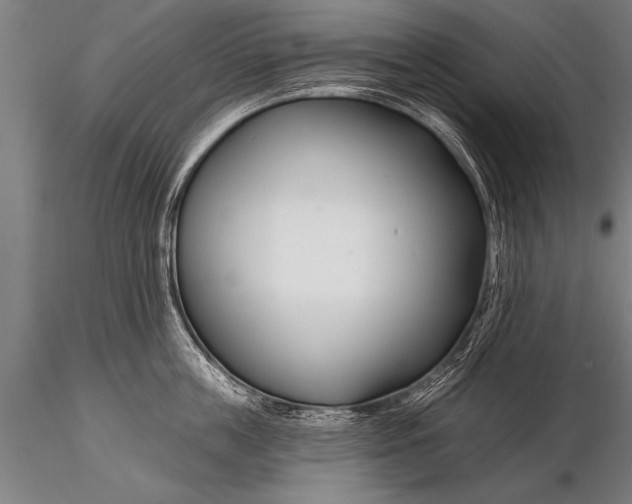 X0000116160859200912141219