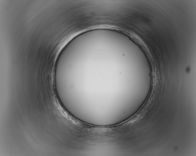 X0000116160860200912141219