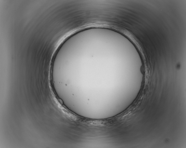 X0000116160861200912141219