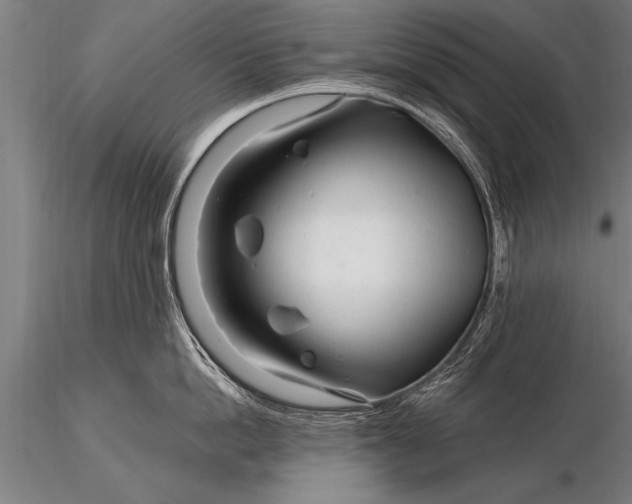 X0000116160862200912141219