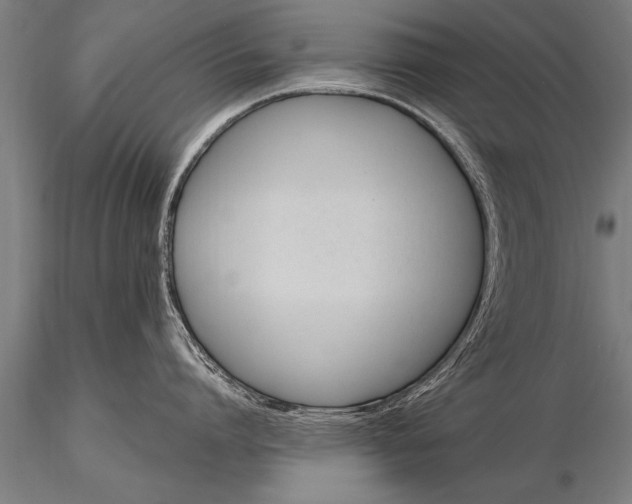 X0000116160864200912141219
