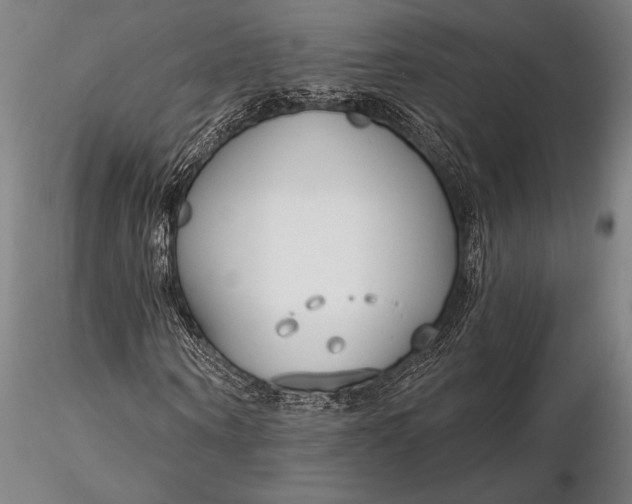 X0000116160866200912141218