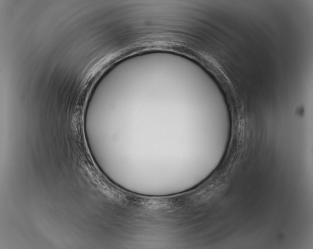 X0000116160874200912141218
