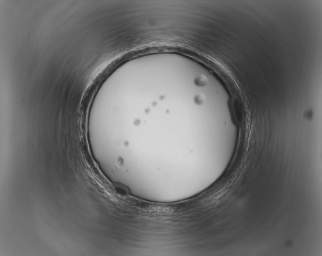 X0000116160878200912141218