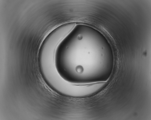 X0000116160884200912141218