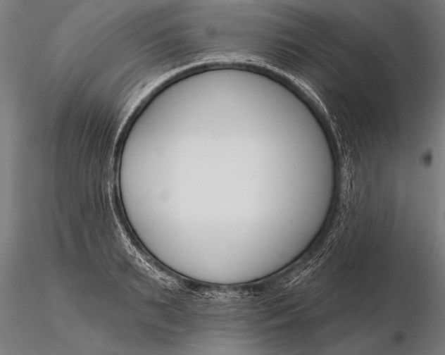 X0000116160895200912141218