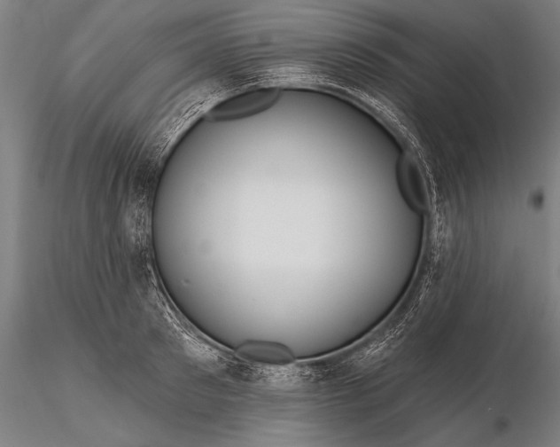 X0000116160897200912141218