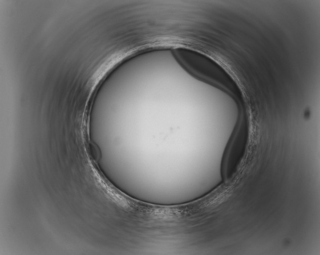 X0000116160901200912141218