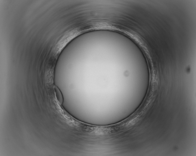 X0000116160905200912141218