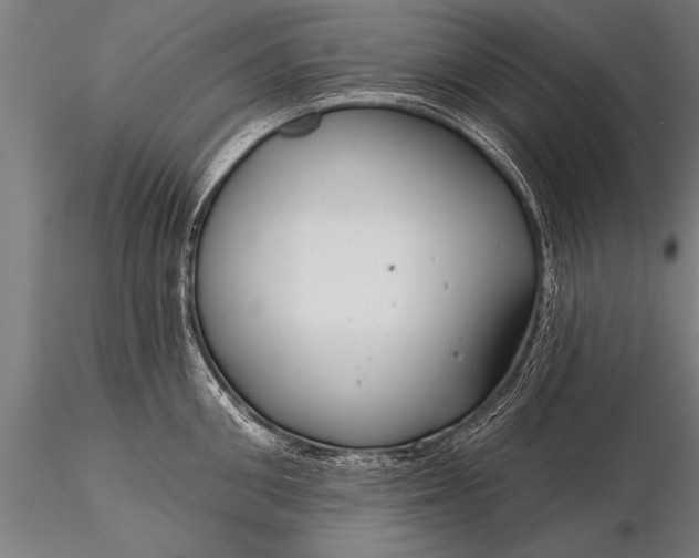 X0000116160906200912141218