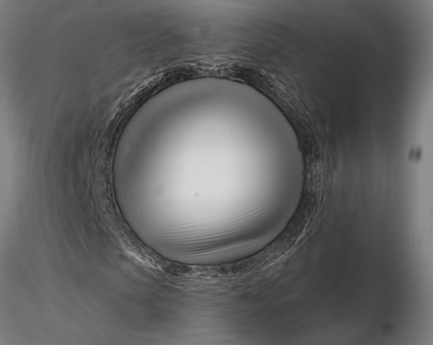X0000116160913200912141217