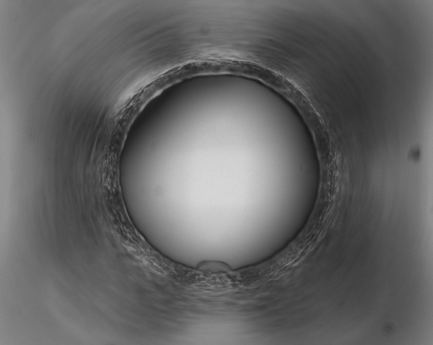 X0000116160919200912141217