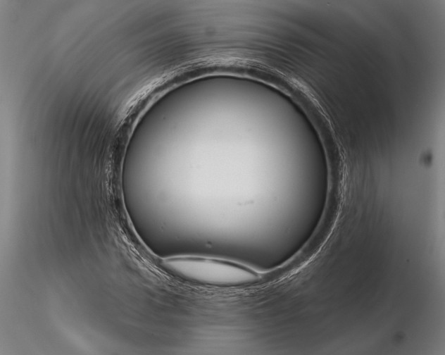 X0000116160922200912141217