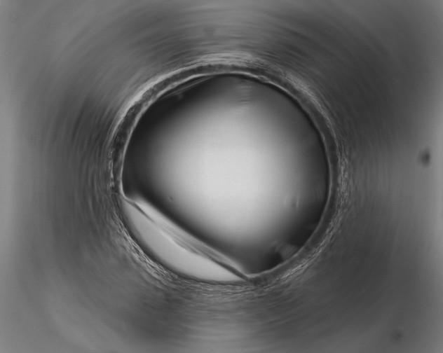 X0000116160923200912141217