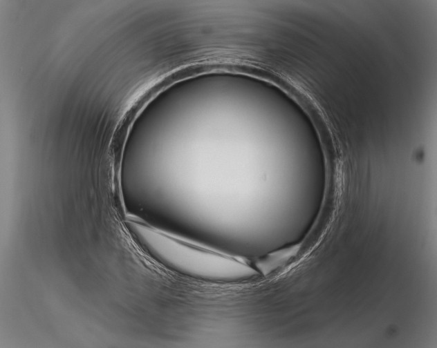 X0000116160925200912141217