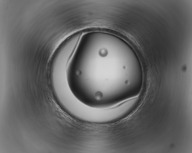 X0000116160926200912141217