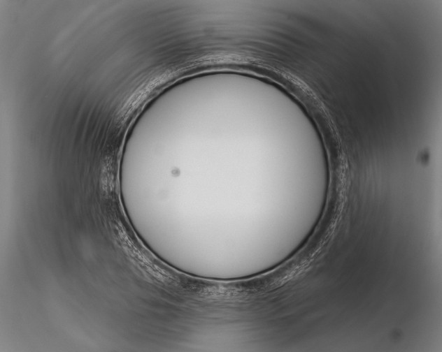 X0000116160929200912141217
