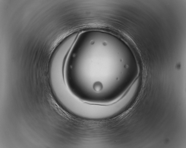 X0000116160930200912141217