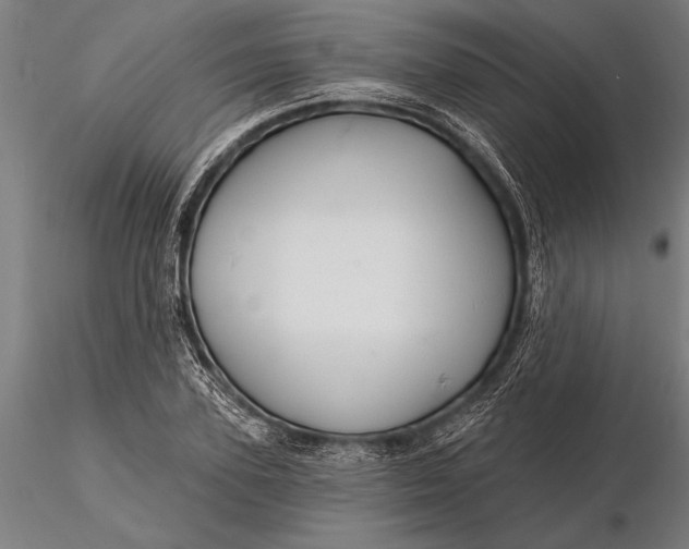 X0000116160931200912141217