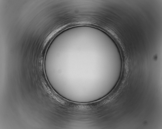 X0000116160933200912141217