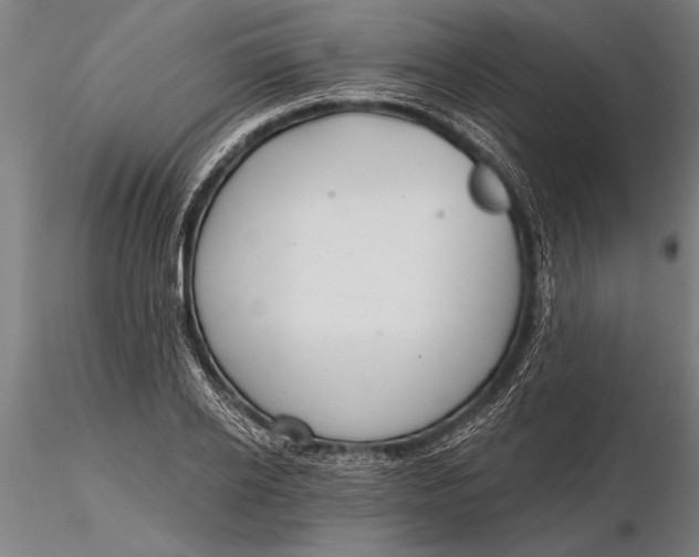 X0000116160934200912141217