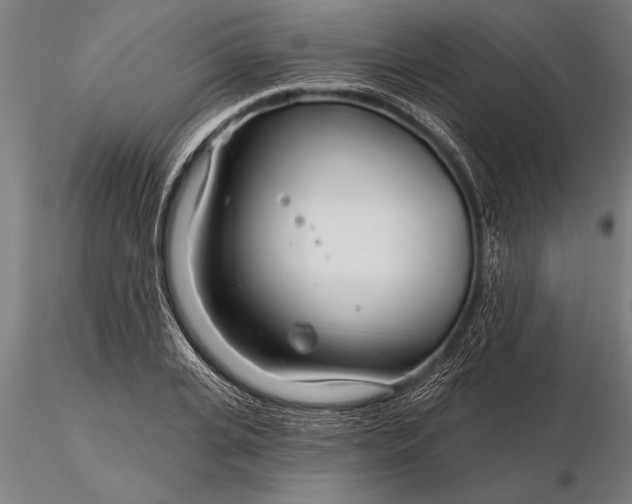 X0000116160935200912141217