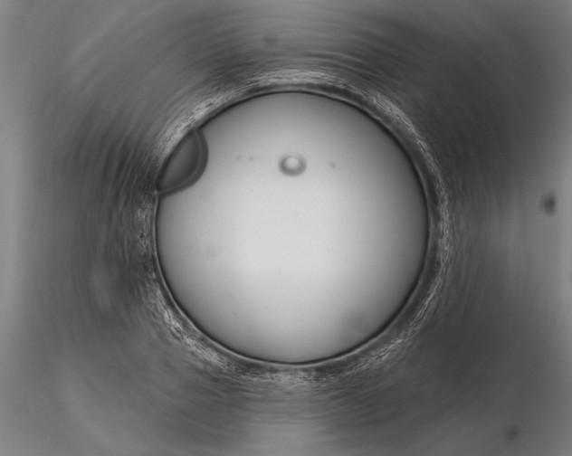 X0000116160937200912141217