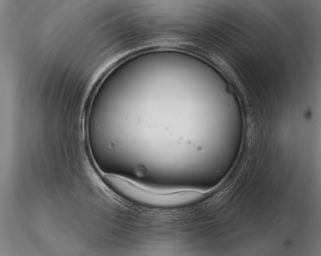 X0000116160939200912141217