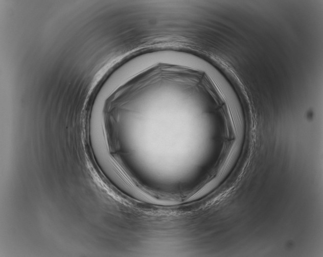 X0000116160941200912141217