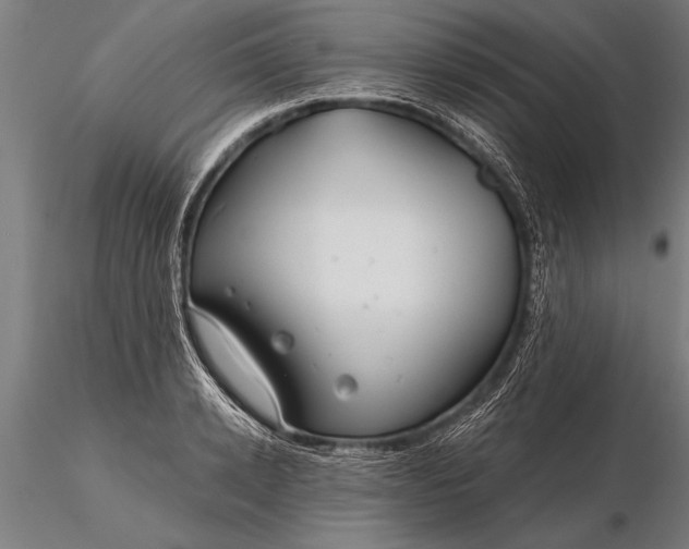 X0000116160942200912141217