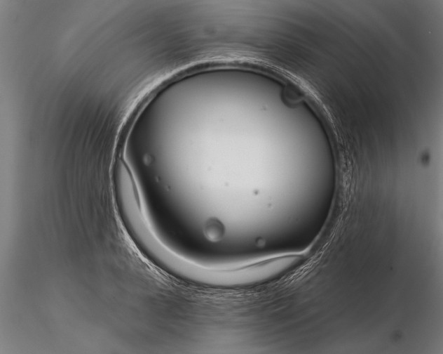 X0000116160943200912141217