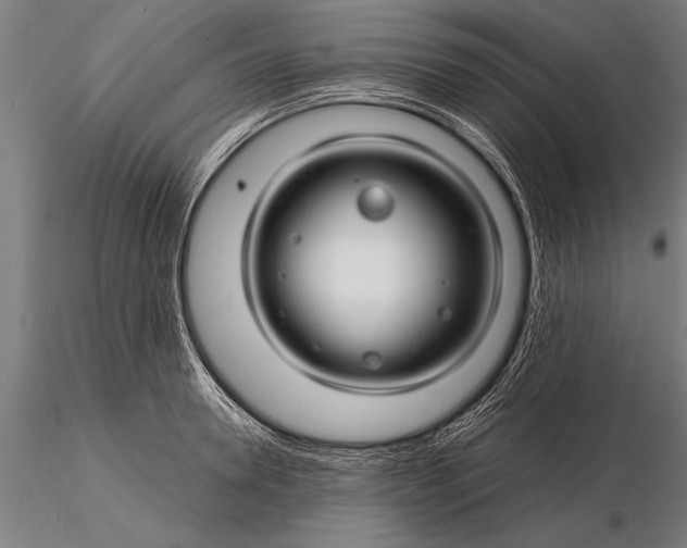 X0000116160946200912141217