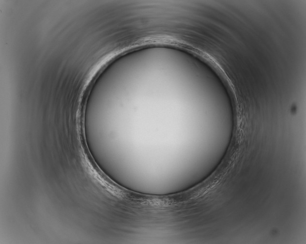 X0000116160947200912141217