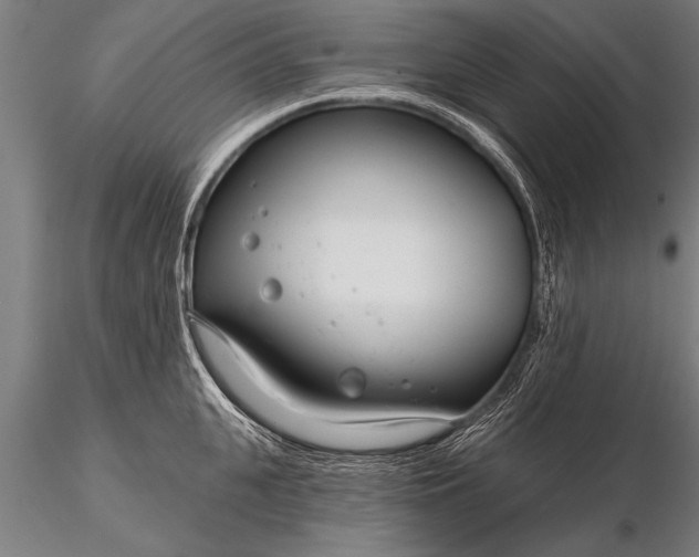 X0000116160951200912141218