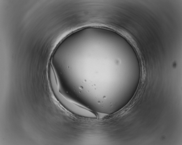 X0000116160958200912141218