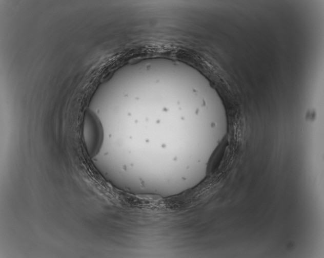 X0000116160961200912141217